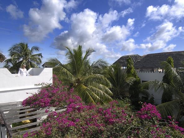 Shela House - Garden 